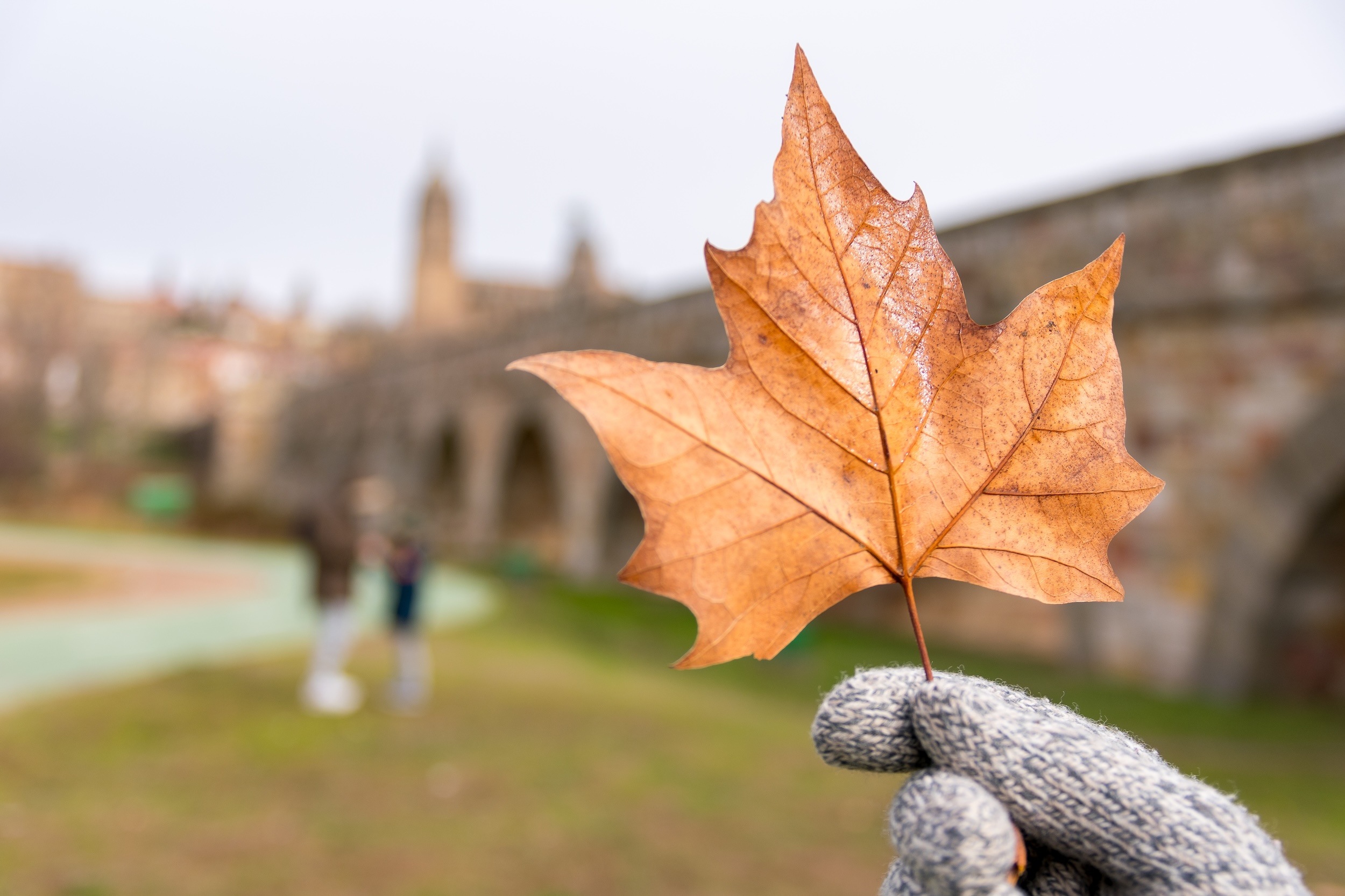 A person holding an orange leaf somewhere in England.
