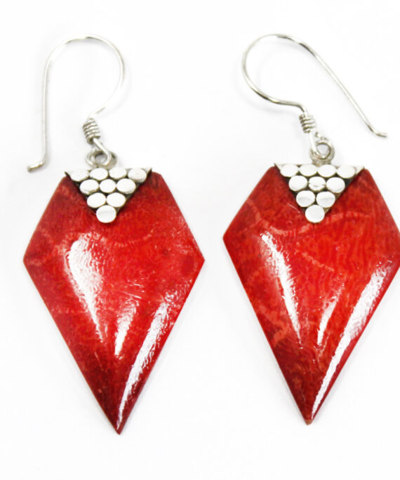 Stříbrné náušnice s červenou pryskyřicí Hrozny.